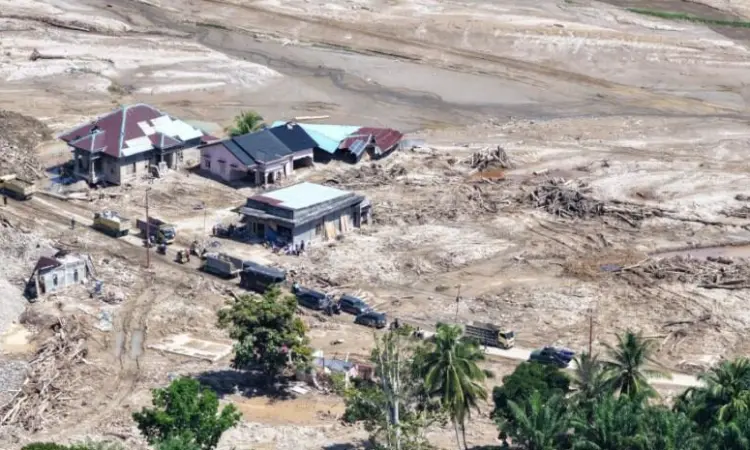 Auriga Nusantara Dorong Penindakan PT TPL Terkait Dugaan Deforestasi di Kawasan Rawan Longsor